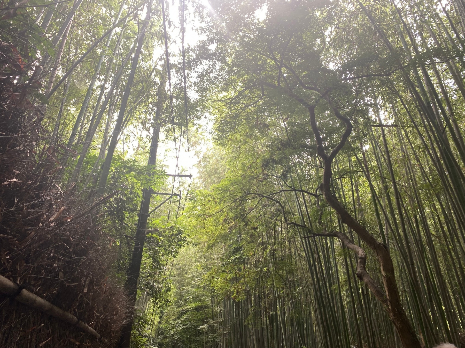 雰囲気3つ目イメージ架空画像